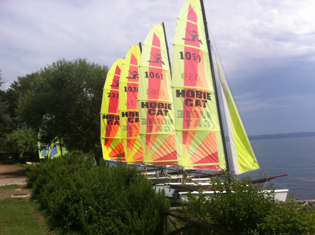 Associazione Italiana Hobie Cat
